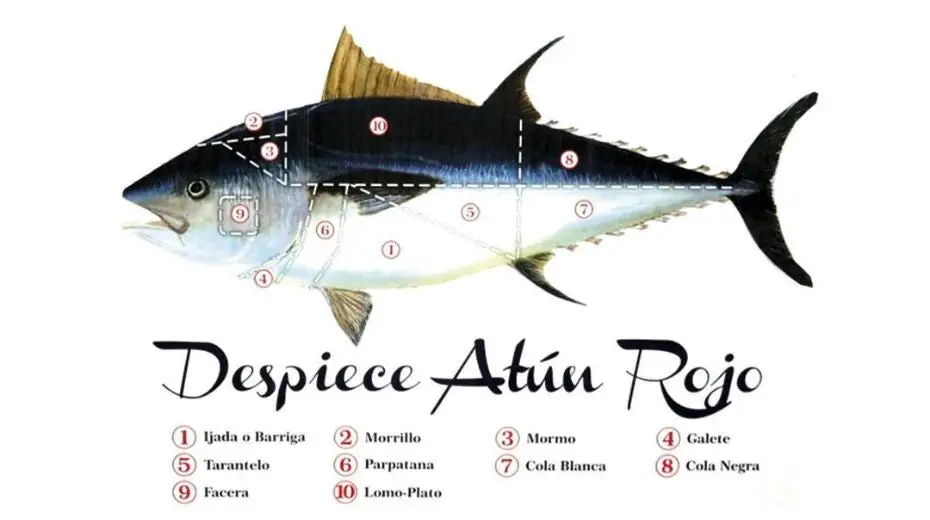 ▷ El Arte del Ronqueo del Atún en Isla Cristina